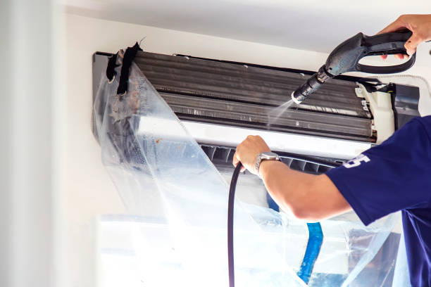 Best Air Vent Cleaning Services  in Maquoketa, IA