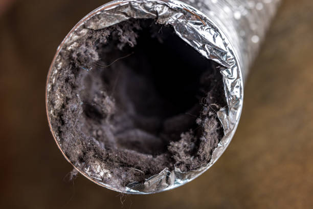 Best Affordable Duct Cleaning Services  in Maquoketa, IA